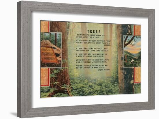 Kilmer Tree Poem, Forest-null-Framed Art Print