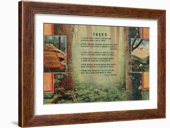 Kilmer Tree Poem, Forest-null-Framed Art Print