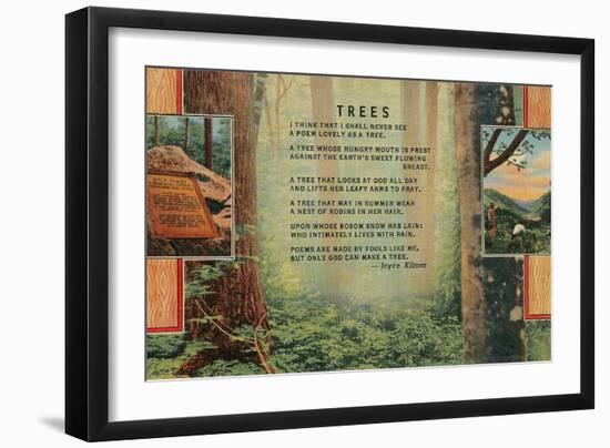 Kilmer Tree Poem, Forest-null-Framed Art Print