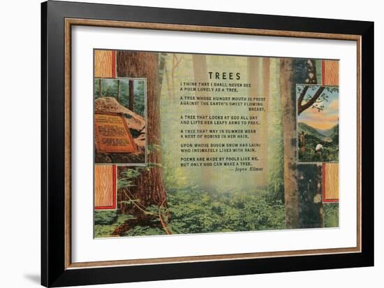 Kilmer Tree Poem, Forest--Framed Art Print
