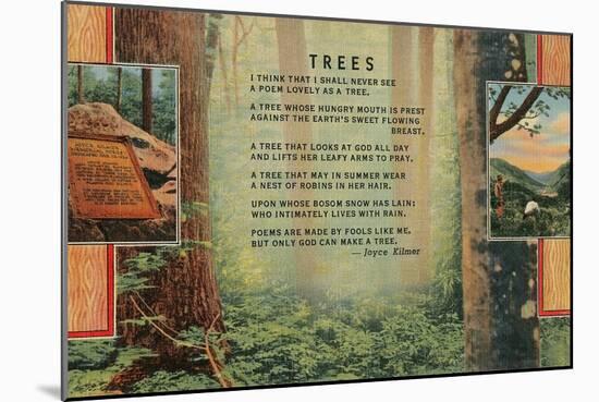 Kilmer Tree Poem, Forest-null-Mounted Art Print