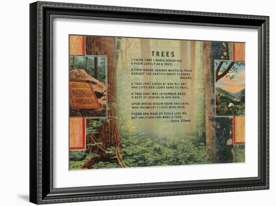 Kilmer Tree Poem, Forest-null-Framed Art Print