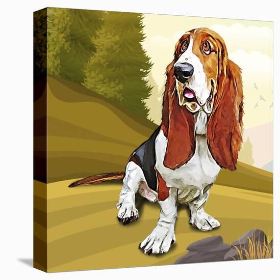 Stretched Canvas Print, , large