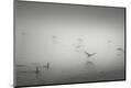 Premium Photographic Print