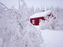 Nordmarka, Oslo, Norway, Scandinavia, Europe-Kim Hart-Photographic Print