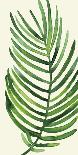 Tropical Palm Leaf III-Kim Johnson-Giclee Print