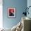 Kim Novak 1955-null-Framed Photo displayed on a wall