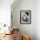 Kim Novak (b/w photo)-null-Framed Photo displayed on a wall
