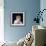 Kim Novak (photo)-null-Framed Photo displayed on a wall