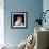 Kim Novak (photo)-null-Framed Photo displayed on a wall