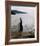 Kim Novak - Vertigo-null-Framed Photo
