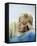 Kim Novak-null-Framed Stretched Canvas