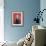 Kim Novak-null-Framed Photo displayed on a wall