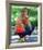 Kim Richards-null-Framed Photo