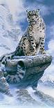 High Spirit - Snow Leopard-Kim Thompson-Stretched Canvas