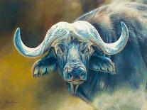 Warrior - African Cape Buffalo-Kim Thompson-Mounted Giclee Print