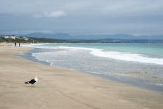 Waves Crashing Ashore at Nature Valley Beach-Kim Walker-Framed Photographic Print