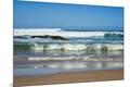 Premium Photographic Print
