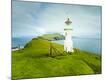 Photographic Print