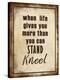 Stretched Canvas Print