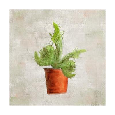 24 x 24 Potted Life 2 Poster Print by Kimberly Allen