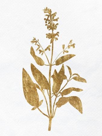 Pressed Foliage Gold 3 Premium Giclee Print - Kimberly Allen | Art.com