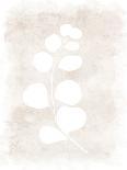 Pressed Leaves 2-Kimberly Epiphany-Art Print