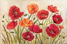 Poppies-Kimberly Poloson-Art Print