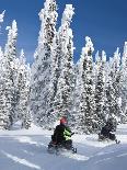 Snowmobilers Riding Through a Forest of Hoar Frosted Trees on Two Top Mountain, West Yellowstone, M-Kimberly Walker-Photographic Print