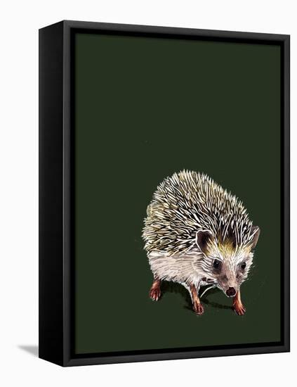 Kimchi the Hedgehog on Forest Green, 2020, (Pen and Ink)-Mike Davis-Framed Premier Image Canvas