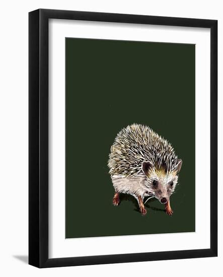Kimchi the Hedgehog on Forest Green, 2020, (Pen and Ink)-Mike Davis-Framed Giclee Print