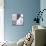 Kimono Garden II-Megan Meagher-Premium Giclee Print displayed on a wall