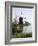 Kinderdijk Windmills, UNESCO World Heritage Site, Holland, Europe-Olivieri Oliviero-Framed Photographic Print