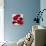 Kindle Poppies I-Lanie Loreth-Premium Giclee Print displayed on a wall