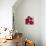 Kindle Poppies II-Lanie Loreth-Art Print displayed on a wall