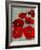 Kindle's Poppies II-Lanie Loreth-Framed Art Print