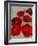 Kindle's Poppies II-Lanie Loreth-Framed Art Print