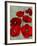 Kindle's Poppies II-Lanie Loreth-Framed Premium Giclee Print