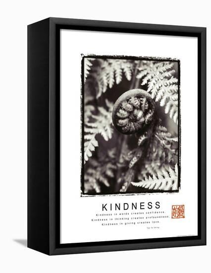 Kindness - Fiddlehead-Unknown Unknown-Framed Stretched Canvas