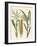 Kinds of Corns-null-Framed Giclee Print