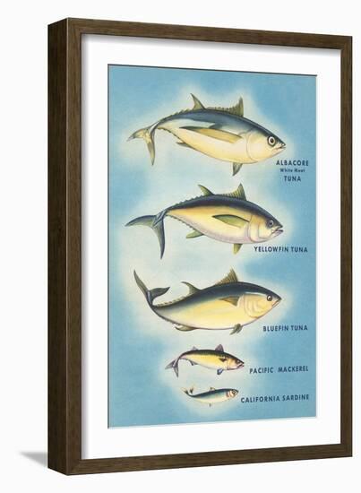 Kinds of Tuna Fish-null-Framed Art Print