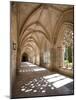 King Afonso V Cloister, Monastery of Santa Maria Da Vitoria, Batalha, Estremadura, Portugal-Michele Falzone-Mounted Photographic Print