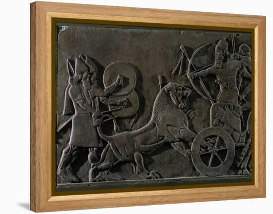 King Ashurnazirpal Hunting Lions, a Lion Leaping at the King's Chariot-null-Framed Premier Image Canvas