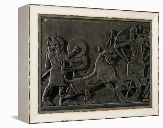 King Ashurnazirpal Hunting Lions, a Lion Leaping at the King's Chariot-null-Framed Premier Image Canvas