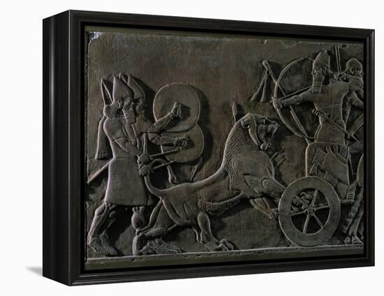 King Ashurnazirpal Hunting Lions, a Lion Leaping at the King's Chariot-null-Framed Premier Image Canvas