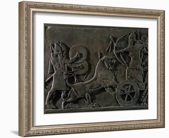 King Ashurnazirpal Hunting Lions, a Lion Leaping at the King's Chariot-null-Framed Giclee Print