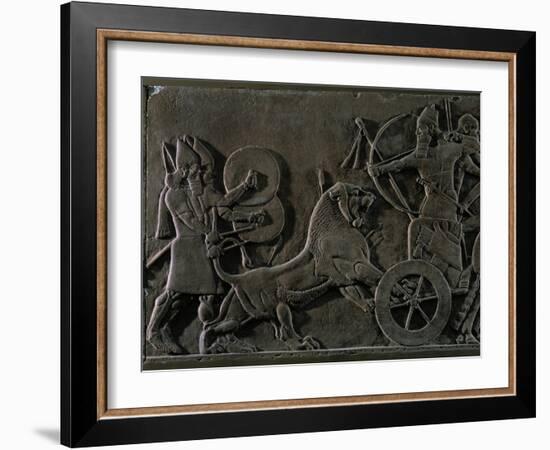 King Ashurnazirpal Hunting Lions, a Lion Leaping at the King's Chariot-null-Framed Giclee Print