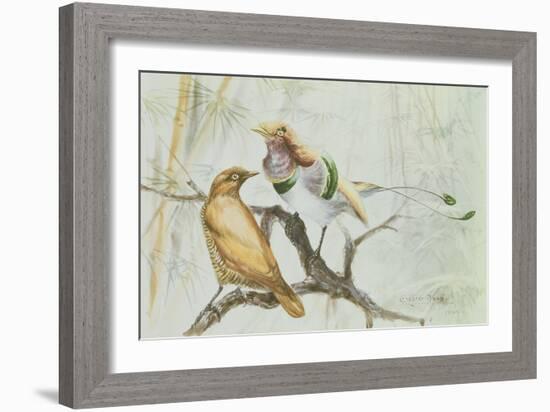 King Bird of Paradise, 1909-Edward Adrian Wilson-Framed Giclee Print