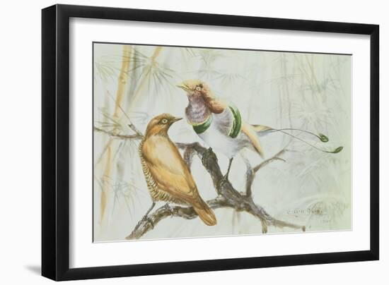 King Bird of Paradise, 1909-Edward Adrian Wilson-Framed Giclee Print