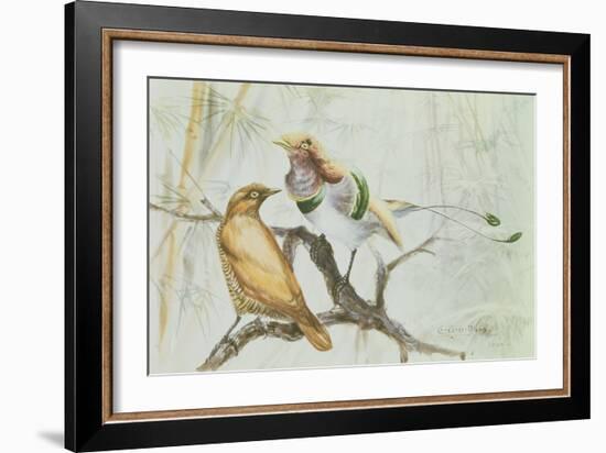 King Bird of Paradise, 1909-Edward Adrian Wilson-Framed Giclee Print